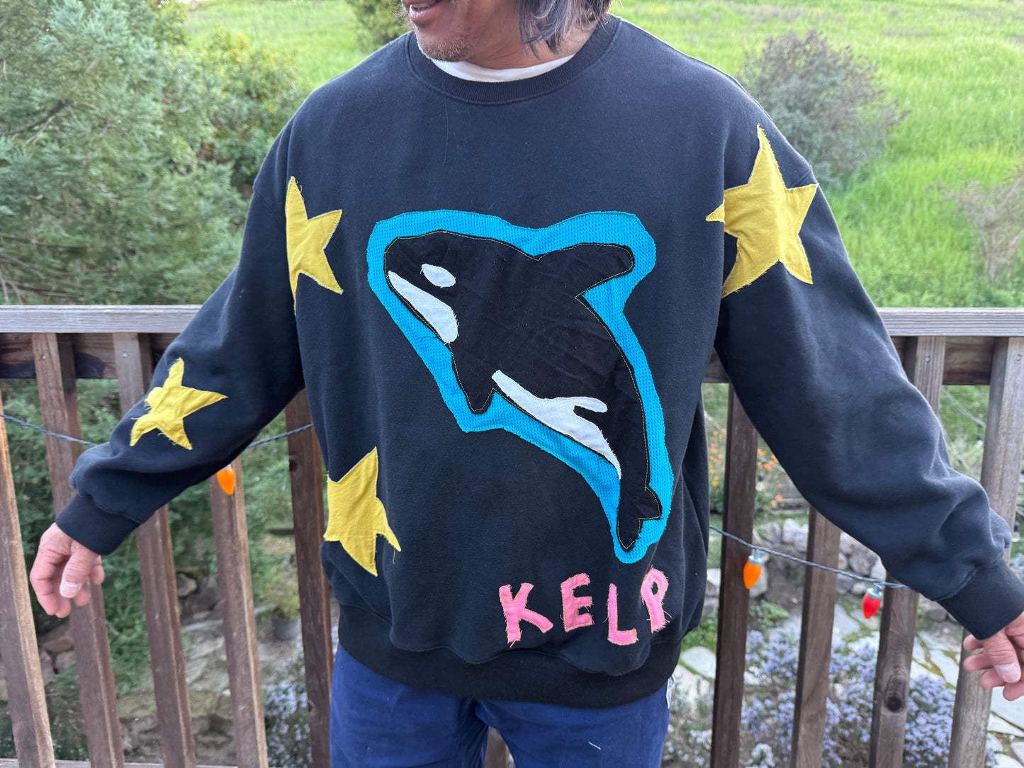 I’m a Pisces (but I’d rather be a killa whale)