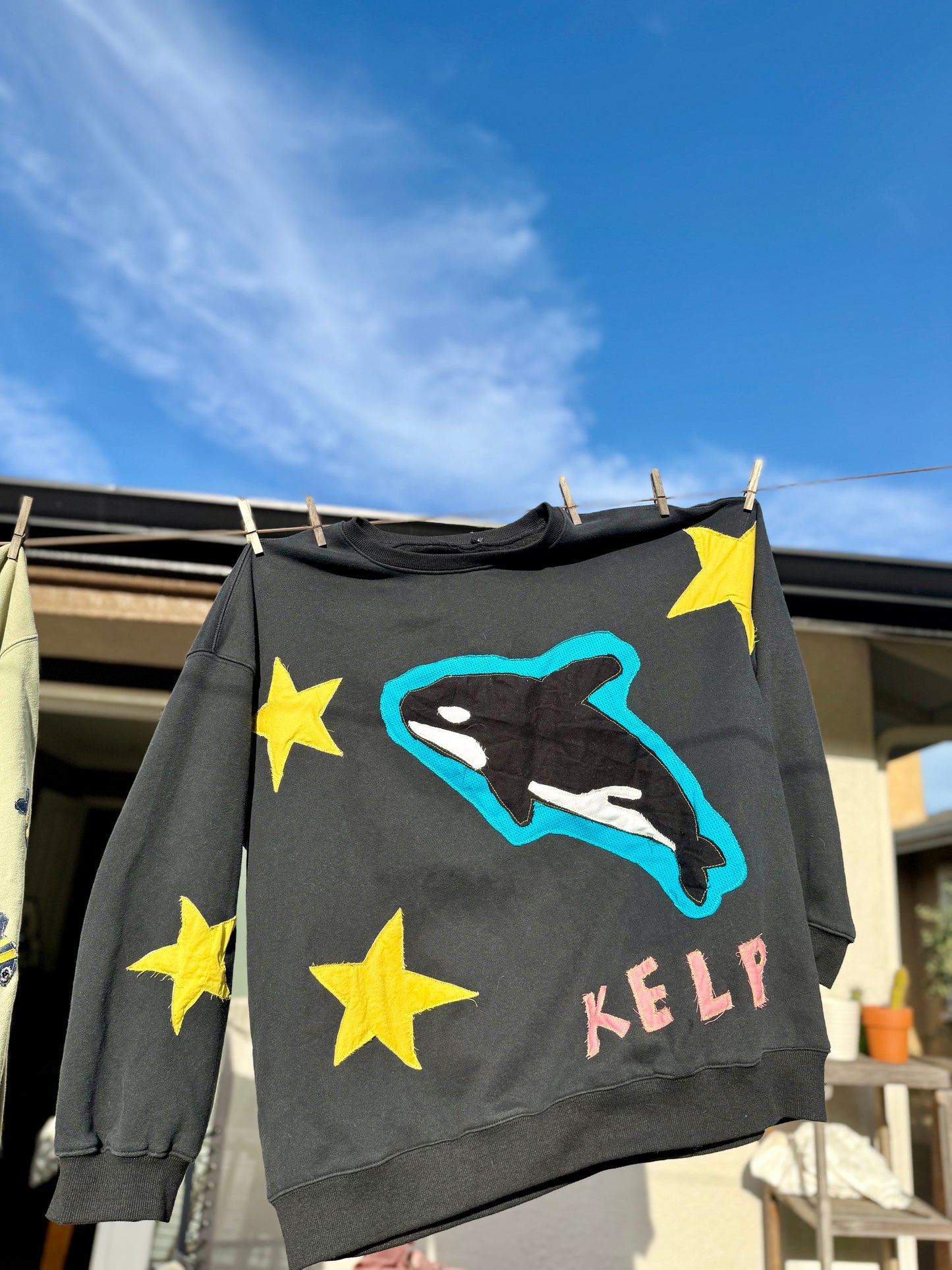 I’m a Pisces (but I’d rather be a killa whale)