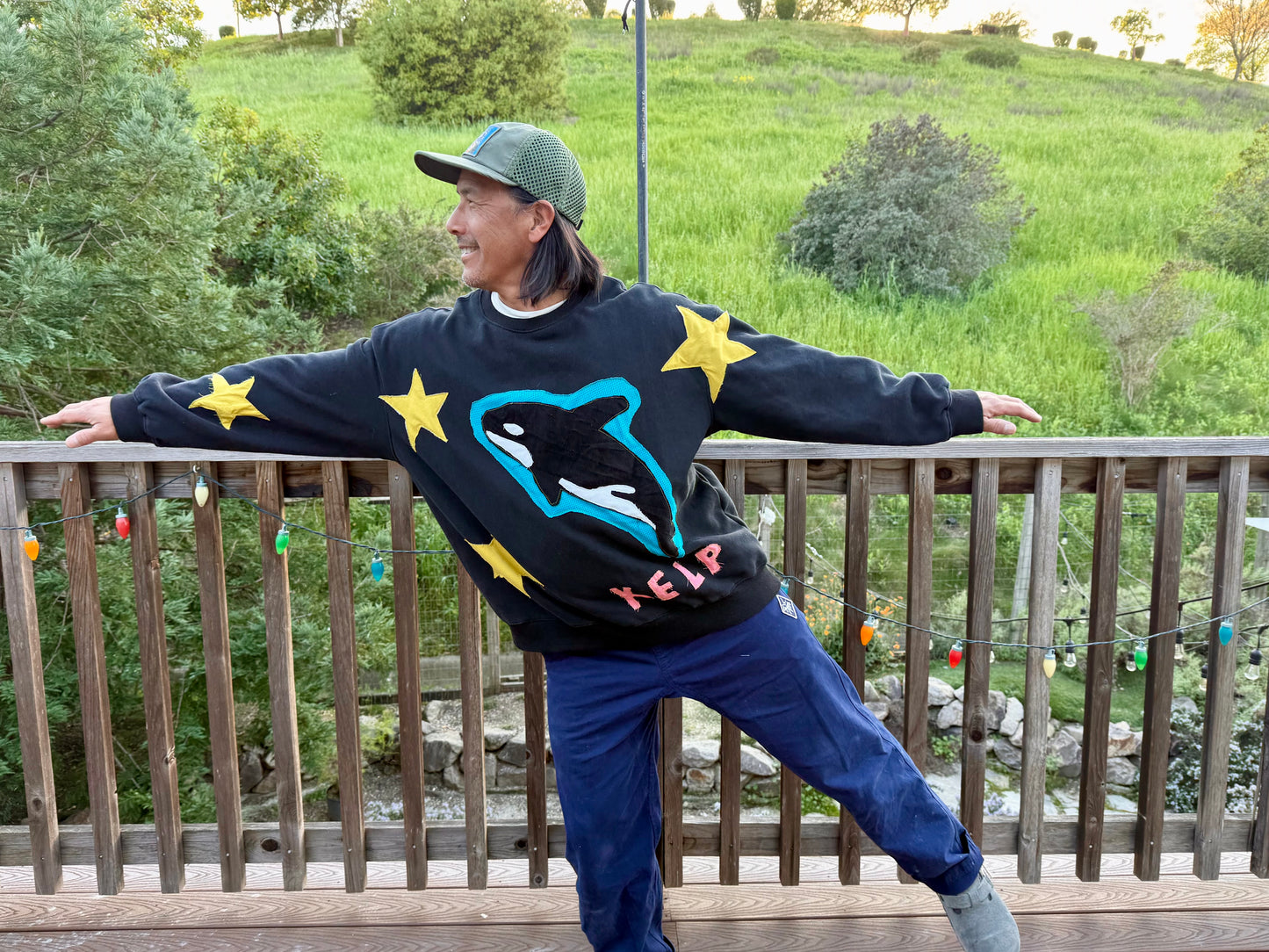 I’m a Pisces (but I’d rather be a killa whale)