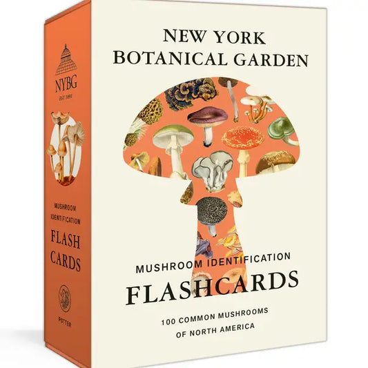 Mushroom Flashcards